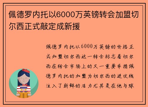 佩德罗内托以6000万英镑转会加盟切尔西正式敲定成新援 佩德罗内托以6000万英镑转会加盟切尔西正式敲定成新援